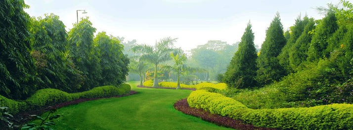 Surjivan Resort - Tauru 01.jpg